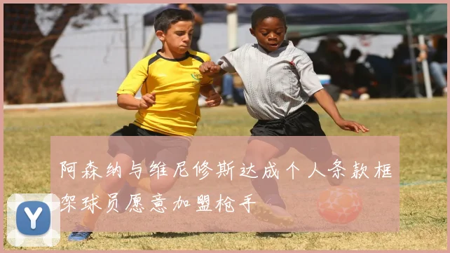 阿森纳与维尼修斯达成个人条款框架球员愿意加盟枪手